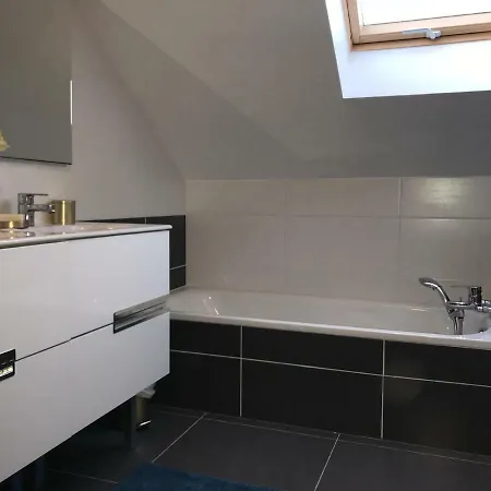 Apartment Pieds Dans L'eau Doussard